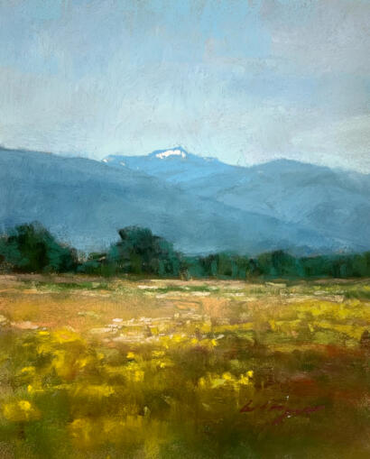Metcalf Meander
